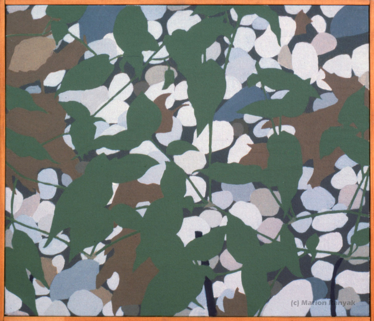 MR-264 Weeds among the Pebbles
