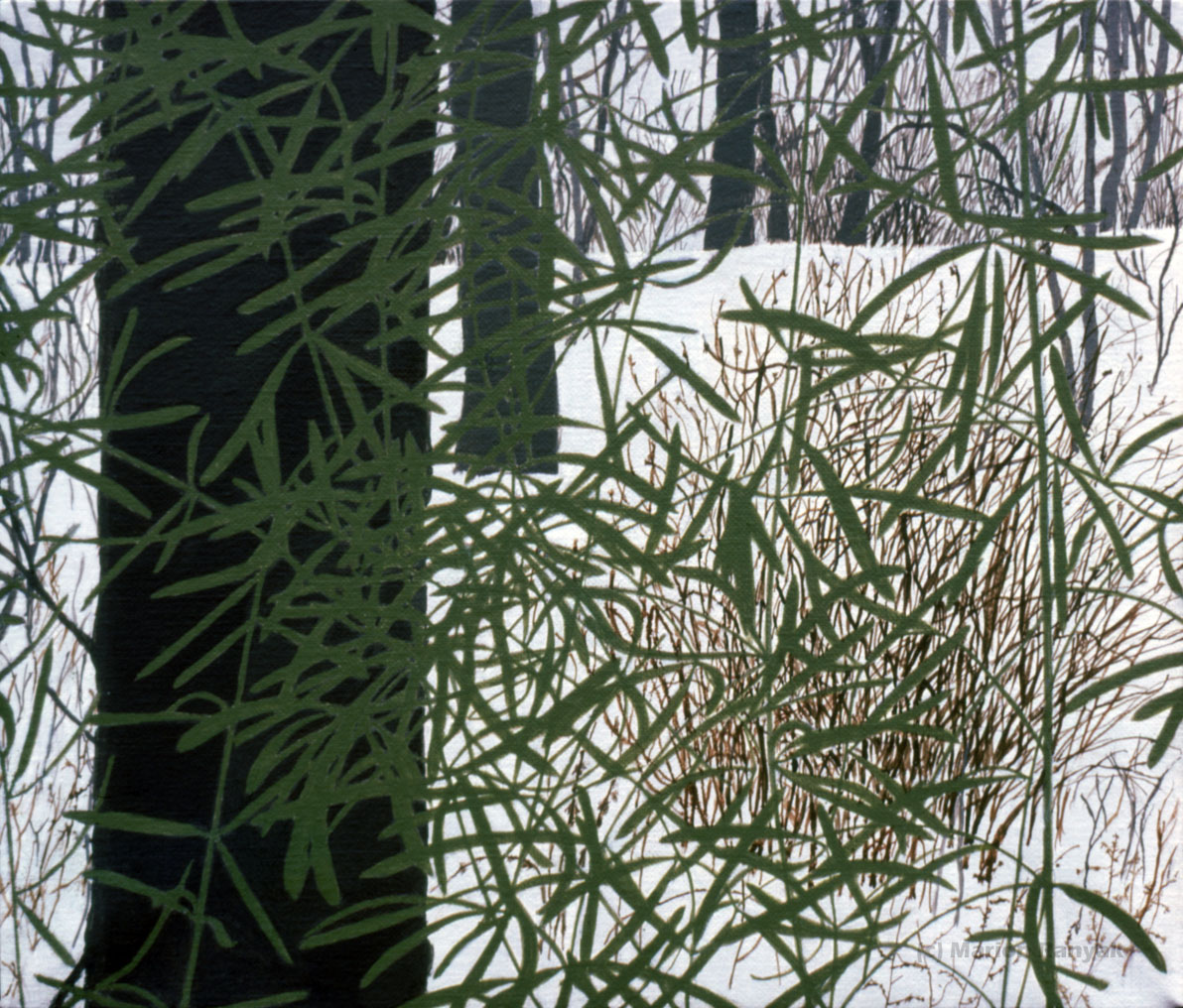 MR-278 House Plants/Snow Scene #3