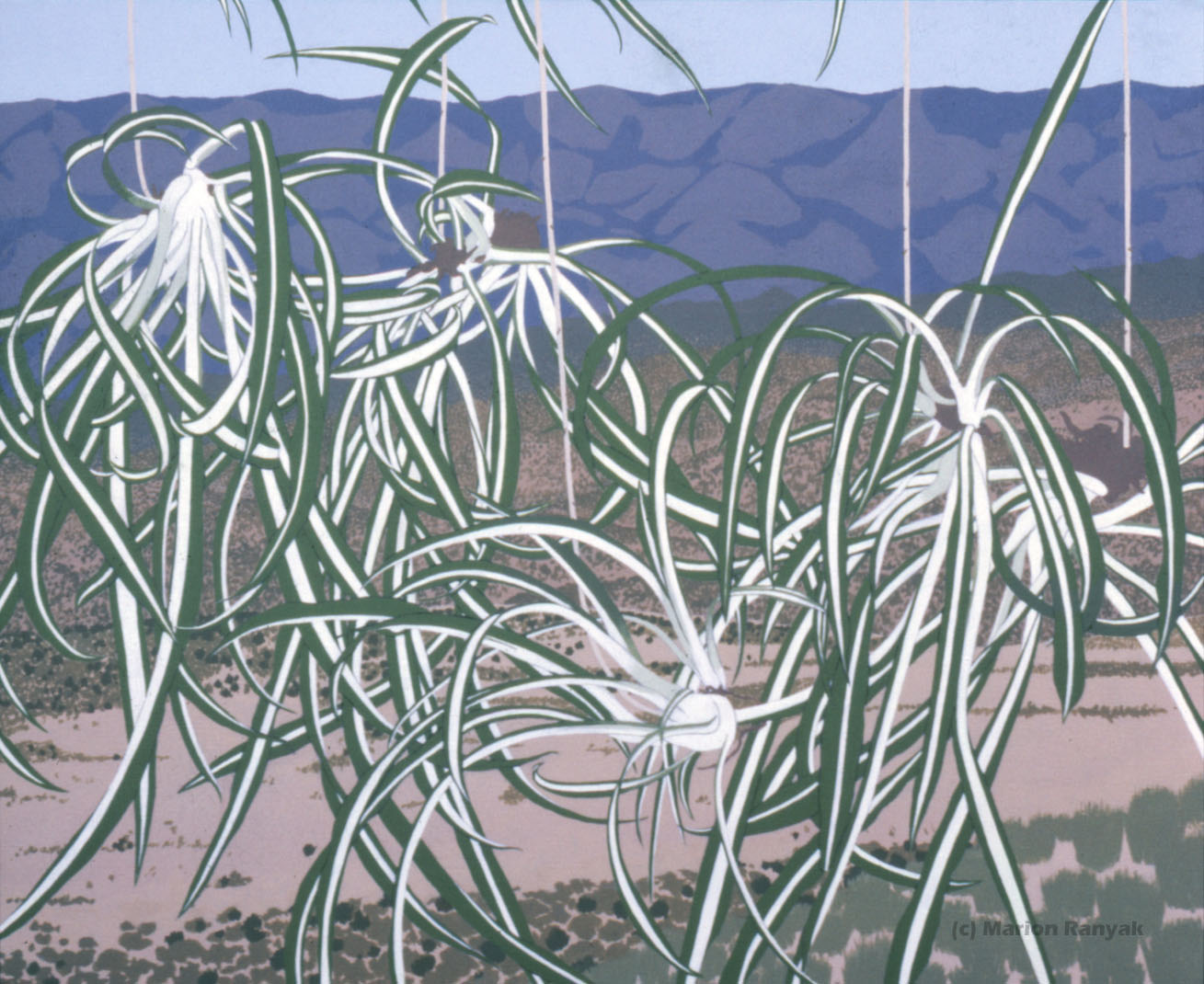 MR-289 House Plant/Arizona Scene
