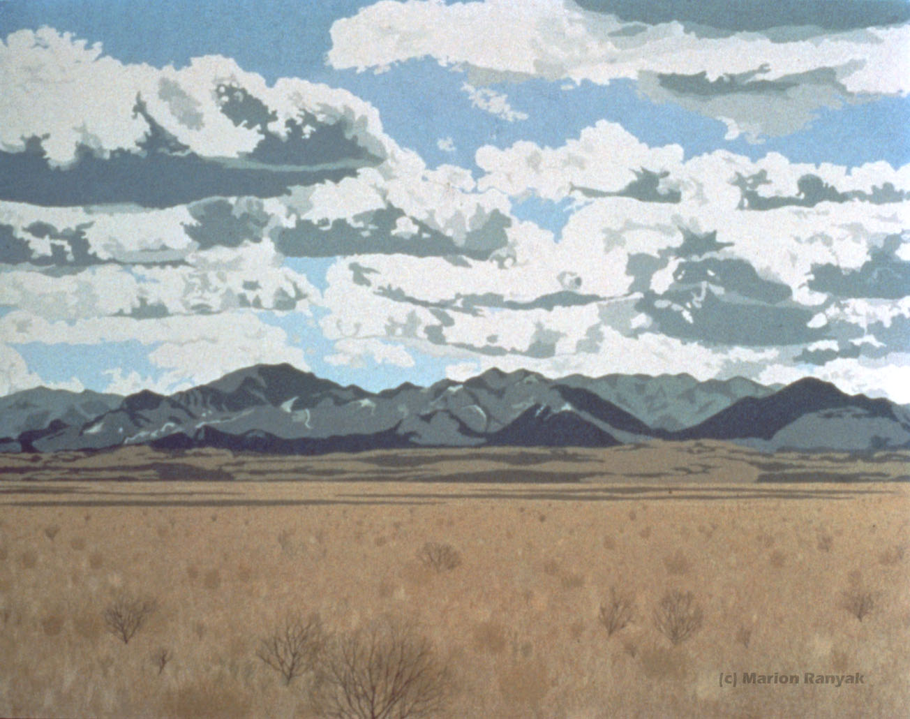MR-299 Southern New Mexico in Winter