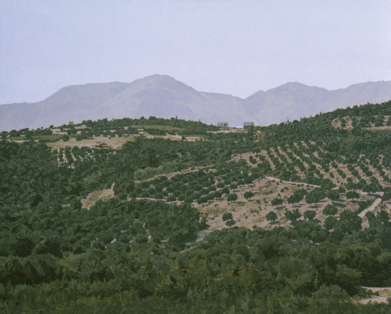 MR-314 Greek Countryside