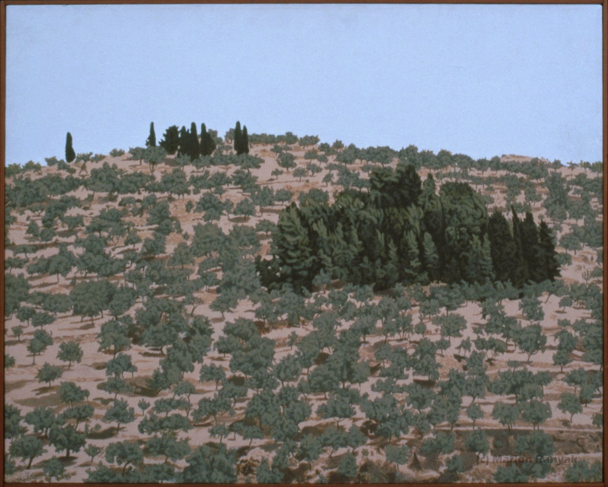 MR-336 Greek Hill with Olive Trees