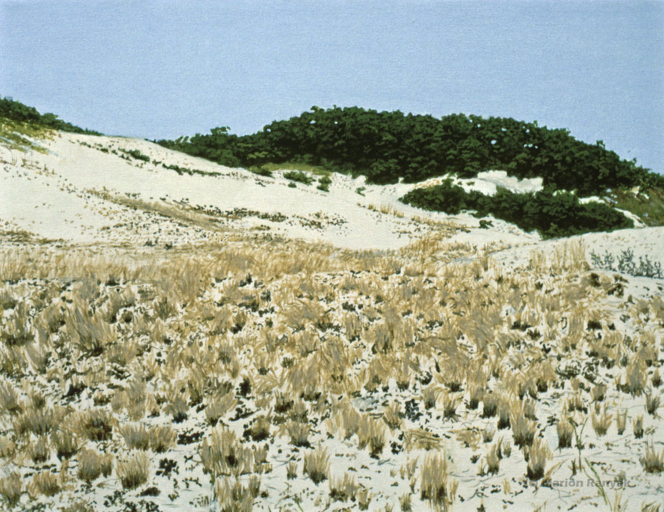 MR-346 Cape Cod Dunes