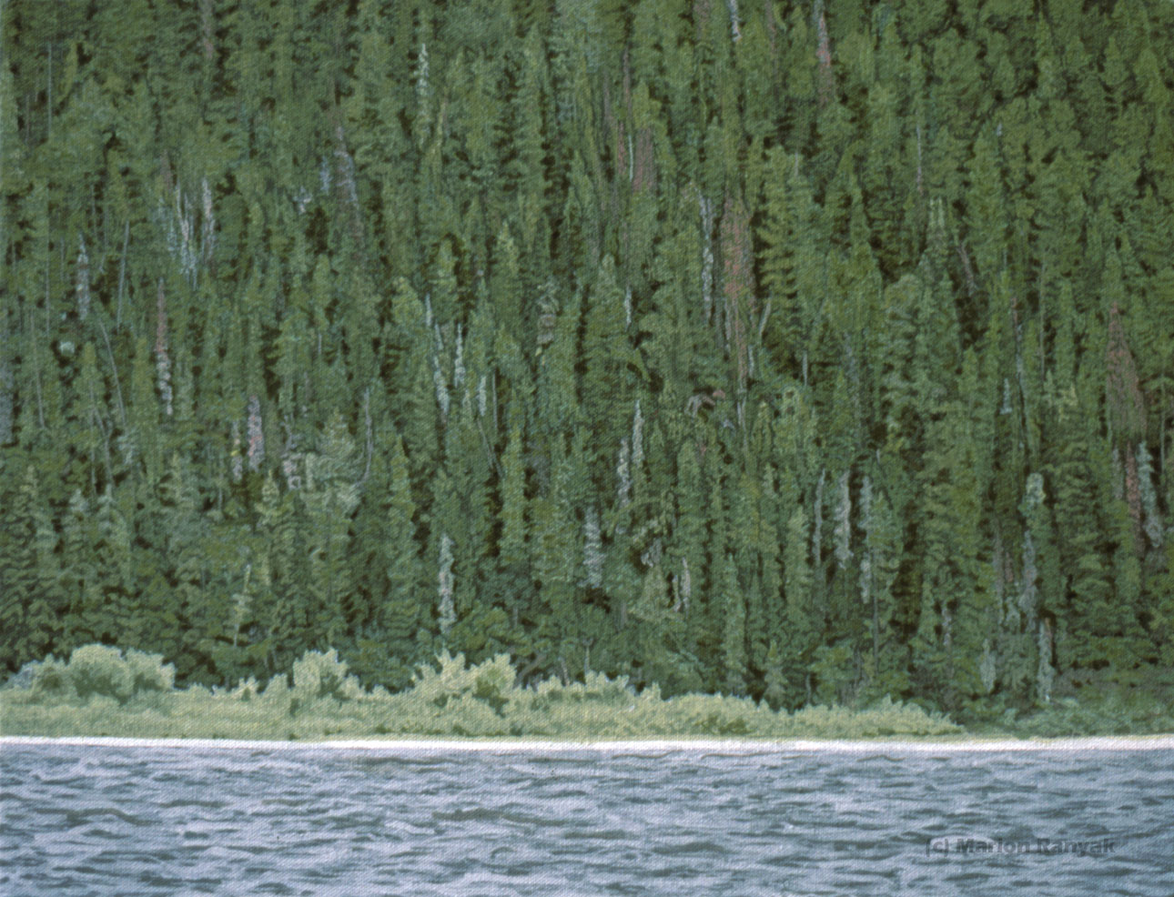 MR-350 Along the Snake River