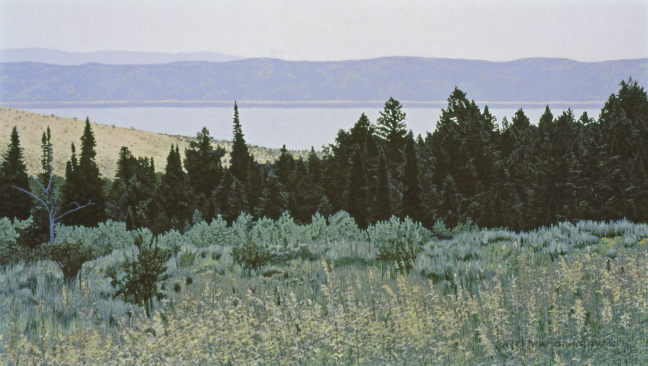 MR-360 Row of Evergreens