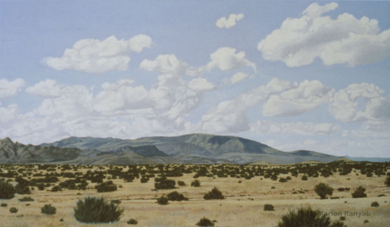 MR-374 Arizona Landscape