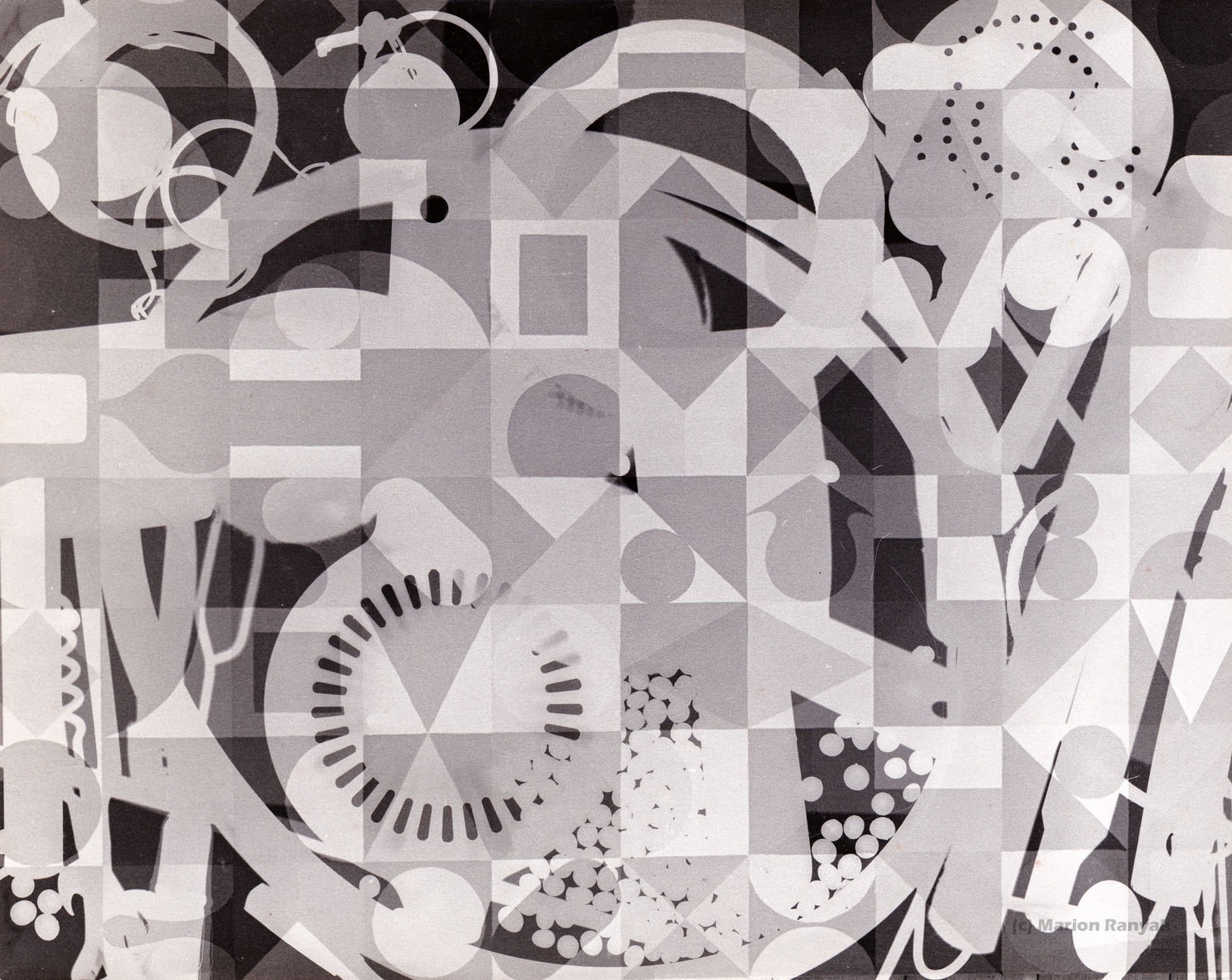 MR-085 Domestic Photogram