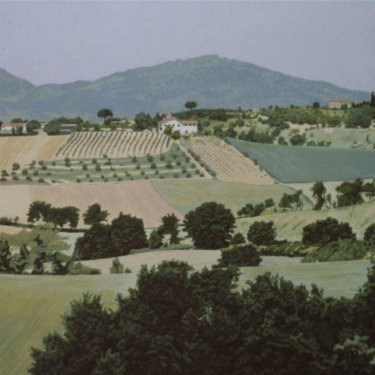 MR-378 Umbria Landscape